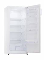 Однокамерные холодильники, холодильные камеры Snaige C29SM-T1002F