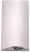 Газовые котлы ARISTON CARES PREMIUM 30 FF (EU)